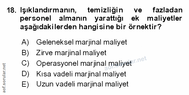 Soru 18