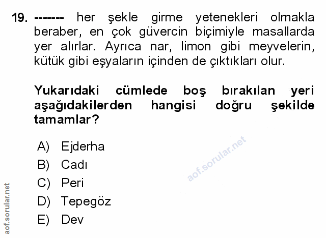 Soru 19