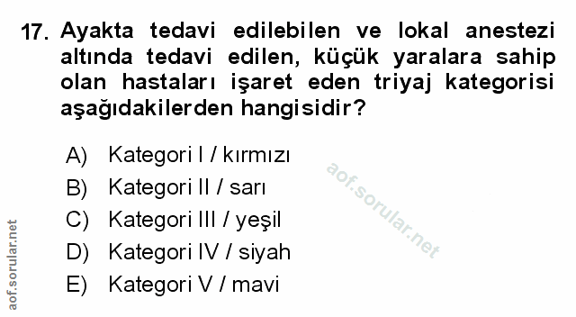 Soru 17