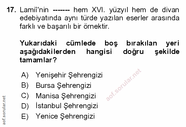Soru 17