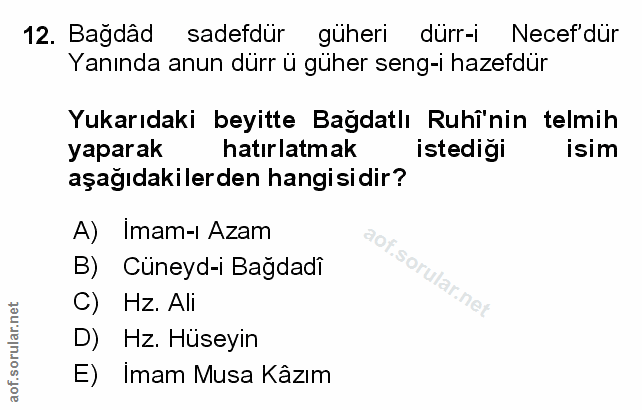 Soru 12