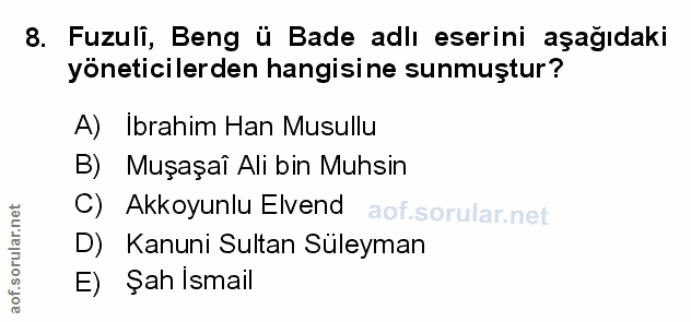 Soru 8
