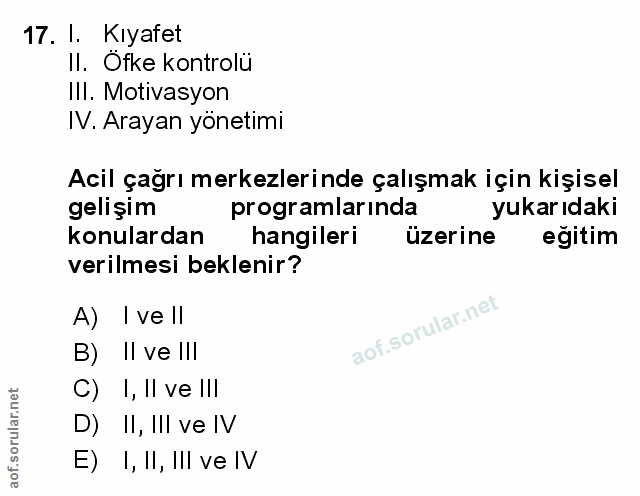Soru 17