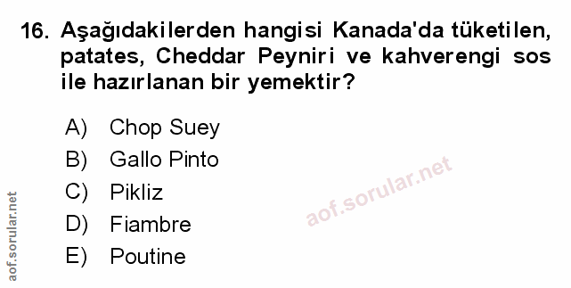 Soru 16