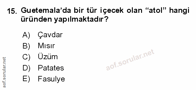 Soru 15