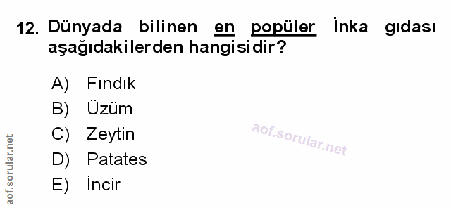 Soru 12