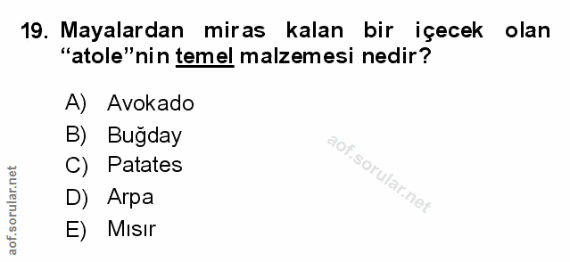 Soru 19