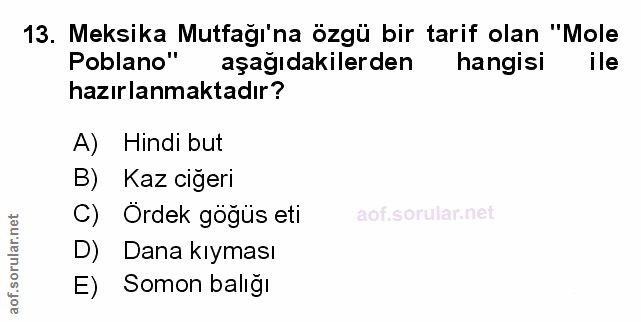 Soru 13
