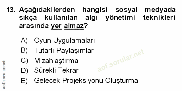 Soru 13