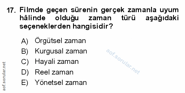 Soru 17