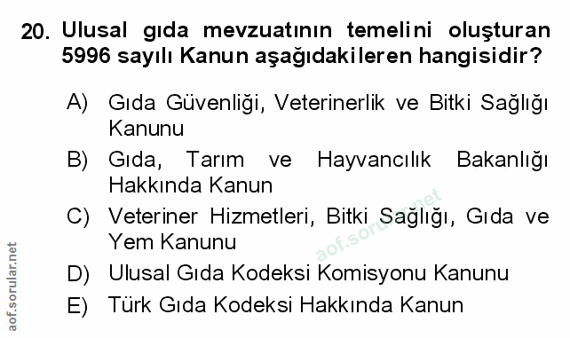 Soru 20