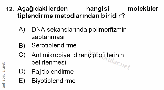 Soru 12