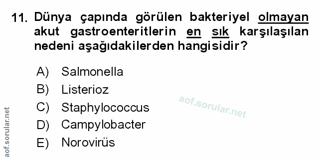 Soru 11
