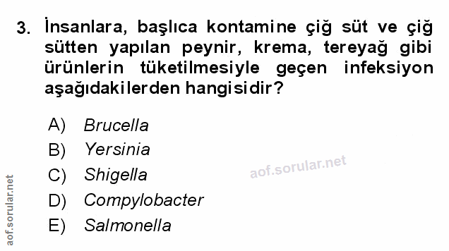 Soru 3