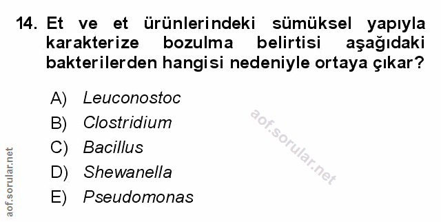 Soru 14