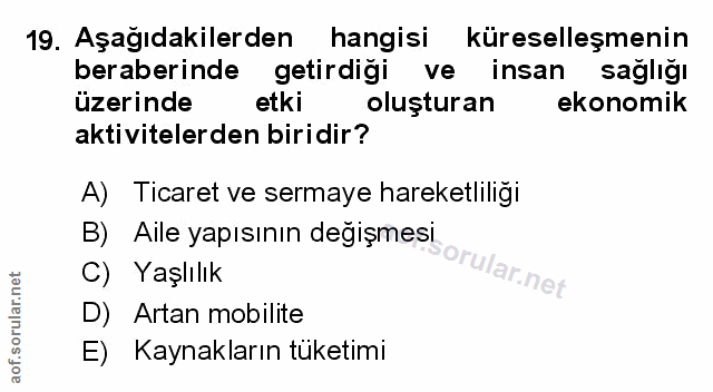 Soru 19