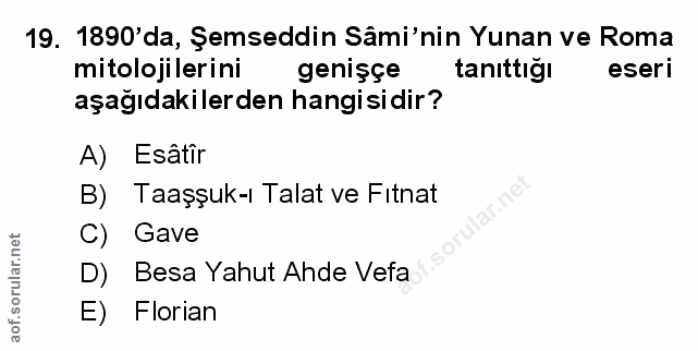 Soru 19