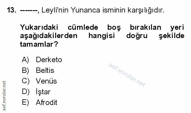 Soru 13