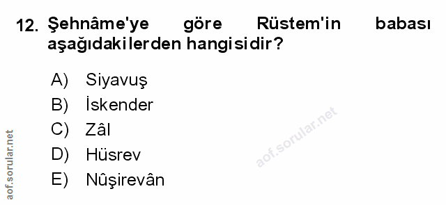 Soru 12