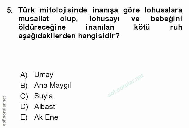 Soru 5