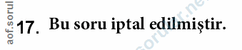 Soru 17