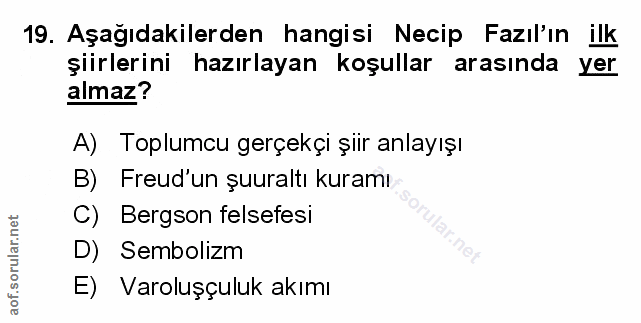 Soru 19