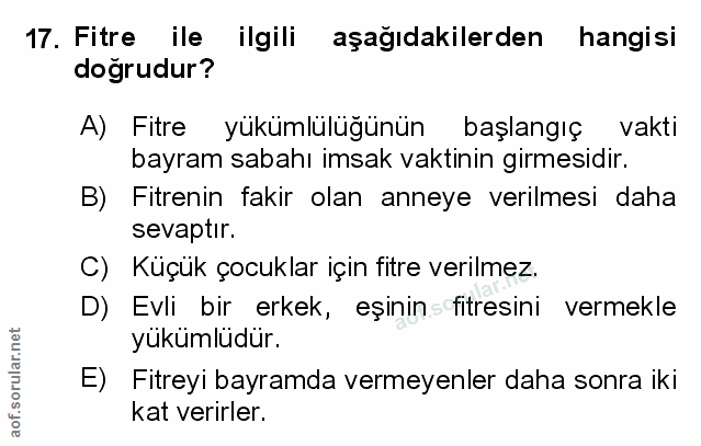 Soru 17