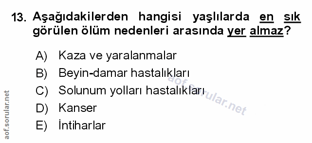 Soru 13