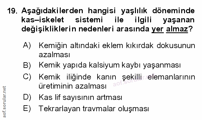 Soru 19
