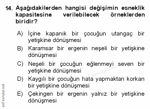 Soru 14