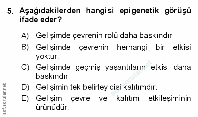 Soru 5