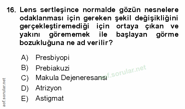 Soru 16