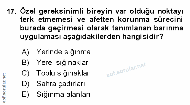 Soru 17
