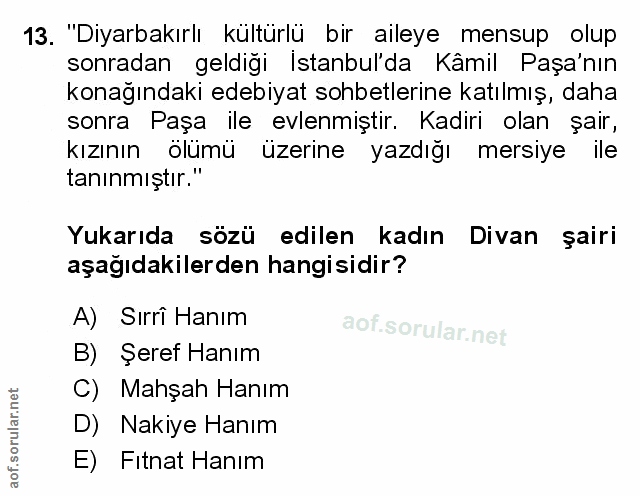 Soru 13