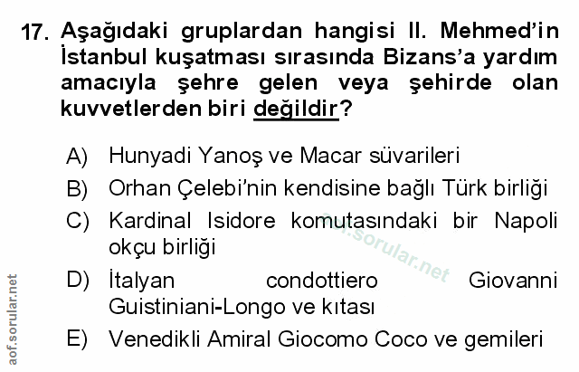 Soru 17