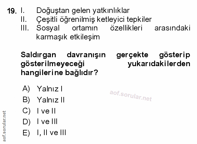 Soru 19