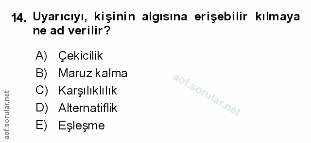 Soru 14