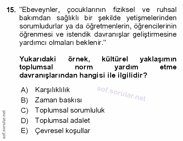 Soru 15