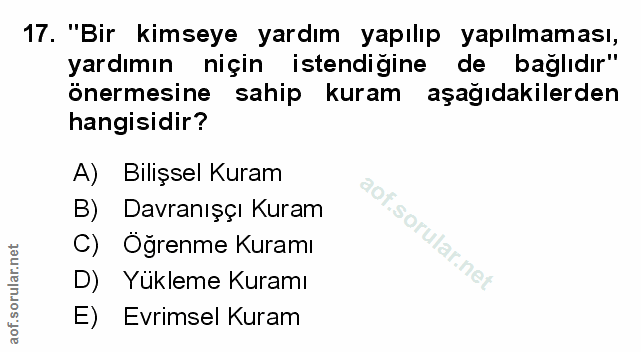 Soru 17