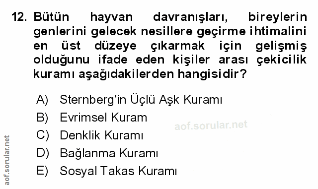 Soru 12