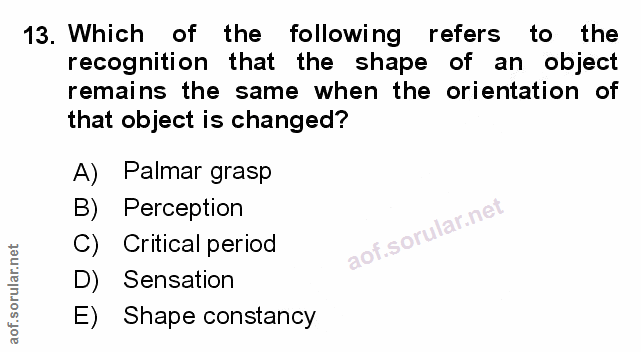 Soru 13