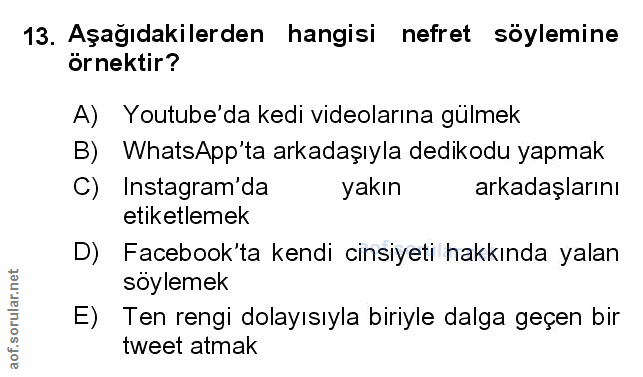Soru 13