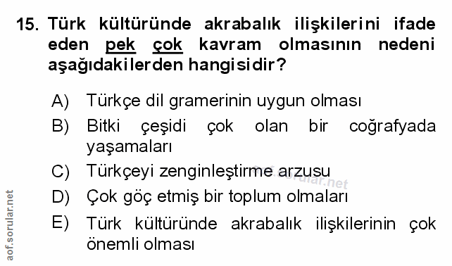 Soru 15
