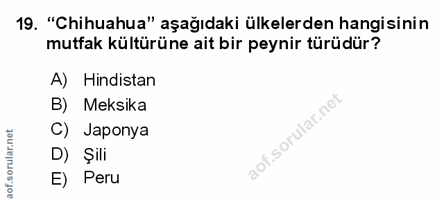 Soru 19