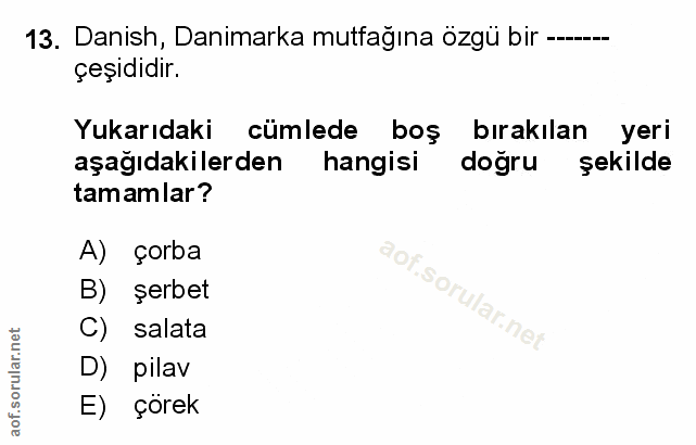 Soru 13