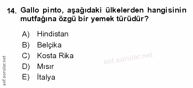 Soru 14