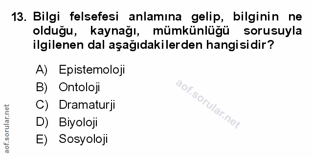Soru 13