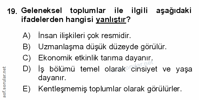 Soru 19