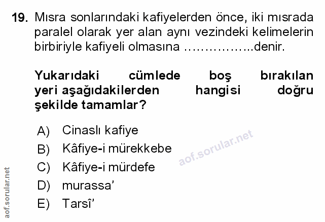 Soru 19