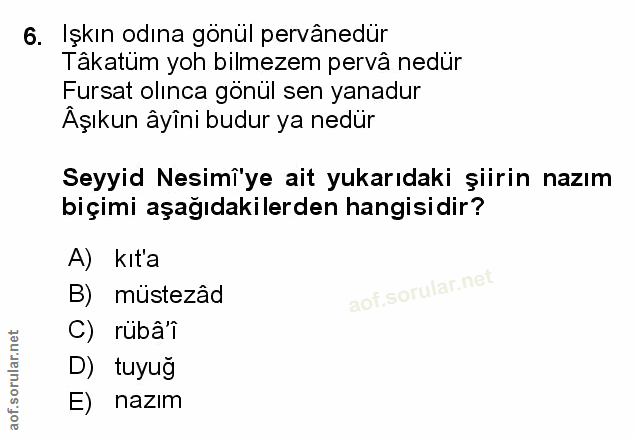 Soru 6